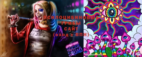 стаф Володарск
