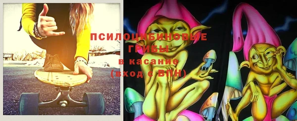 стаф Володарск