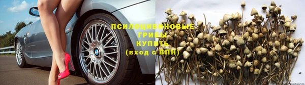 стаф Володарск