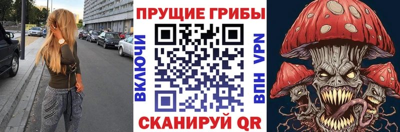 дарнет шоп  Муром  Псилоцибиновые грибы Magic Shrooms 